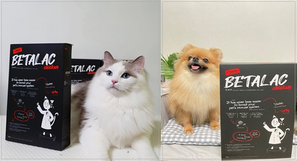 반려동물 브랜드 ‘페피테일’, 강아지·고양이 영양제 체험팩 할인 프로모션 진행
